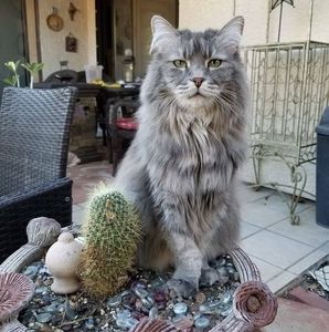 Meet your Posher, Monika